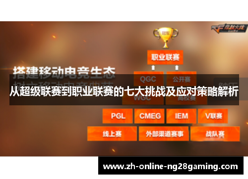 从超级联赛到职业联赛的七大挑战及应对策略解析