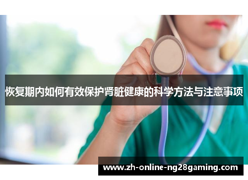 恢复期内如何有效保护肾脏健康的科学方法与注意事项