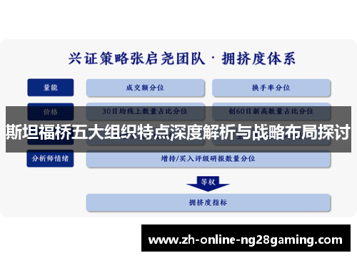 斯坦福桥五大组织特点深度解析与战略布局探讨