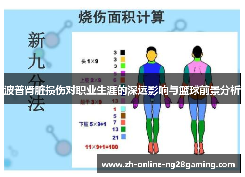 波普肾脏损伤对职业生涯的深远影响与篮球前景分析