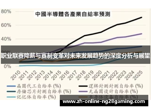职业联赛降薪与赛制变革对未来发展趋势的深度分析与展望
