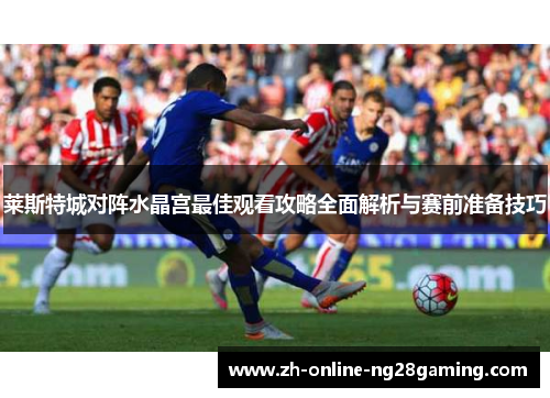 莱斯特城对阵水晶宫最佳观看攻略全面解析与赛前准备技巧