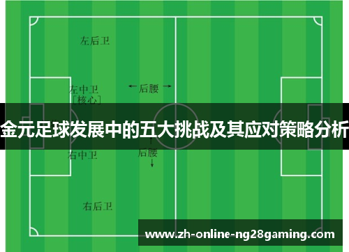 金元足球发展中的五大挑战及其应对策略分析