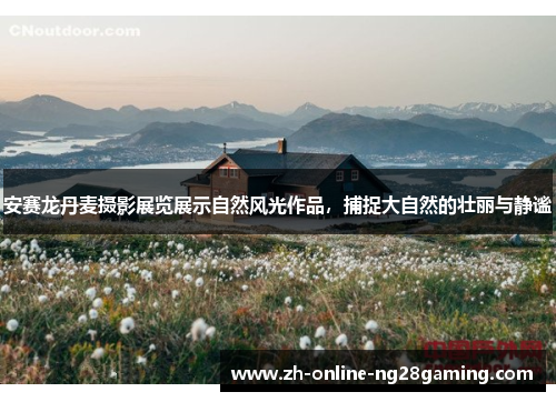 安赛龙丹麦摄影展览展示自然风光作品，捕捉大自然的壮丽与静谧