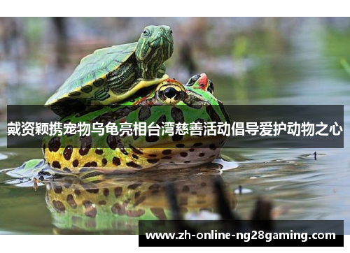 戴资颖携宠物乌龟亮相台湾慈善活动倡导爱护动物之心