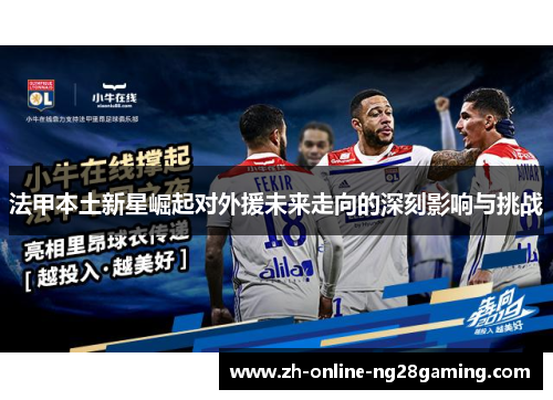 法甲本土新星崛起对外援未来走向的深刻影响与挑战